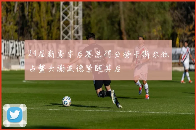 24届新秀季后赛总得分榜卡斯尔独占鳌头谢泼德紧随其后